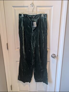Madewell Dark Velvet Wide-Leg Pants